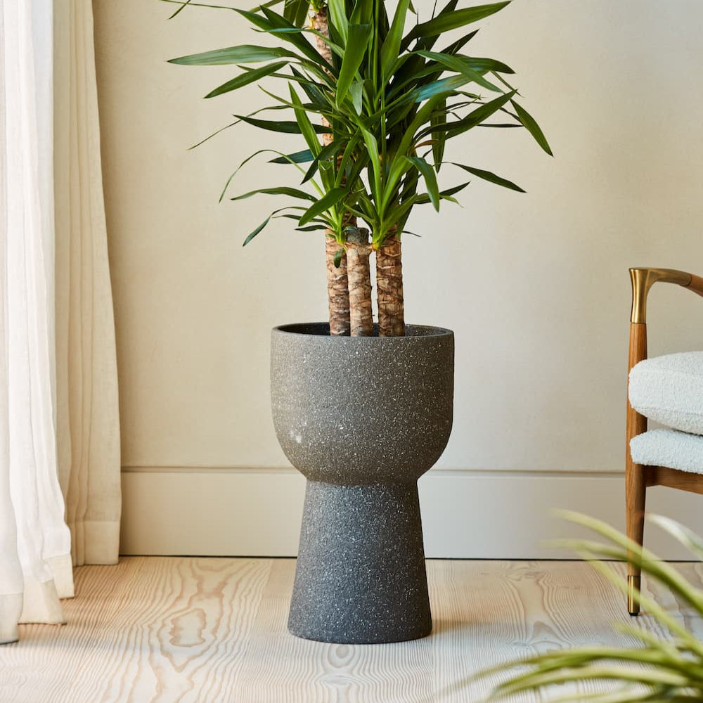 Decorative Indoor Planter for Houseplants