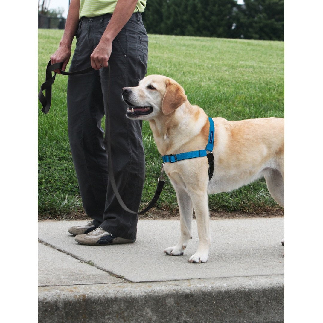 No-Pull Dog Harness for Safer Walks
