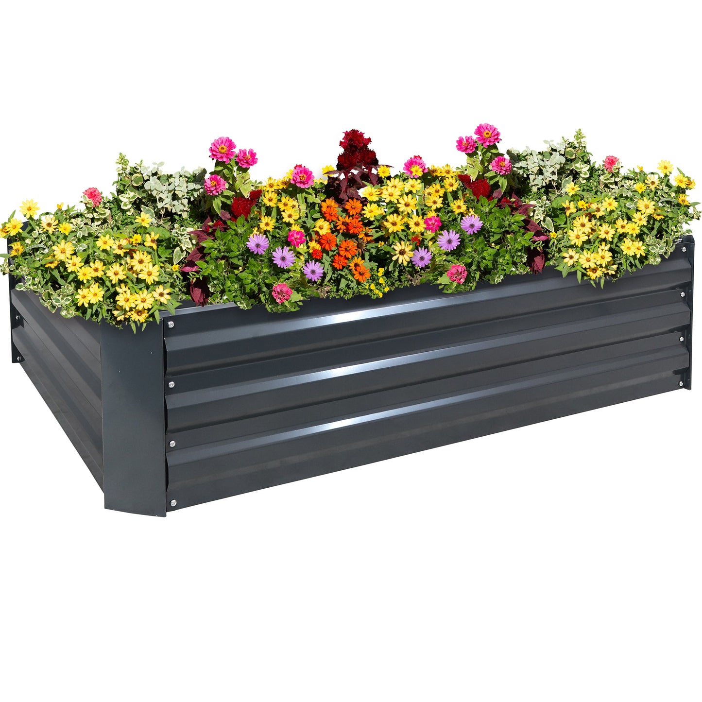 Raised Galvanized Steel Garden Bed for Healthy Plants