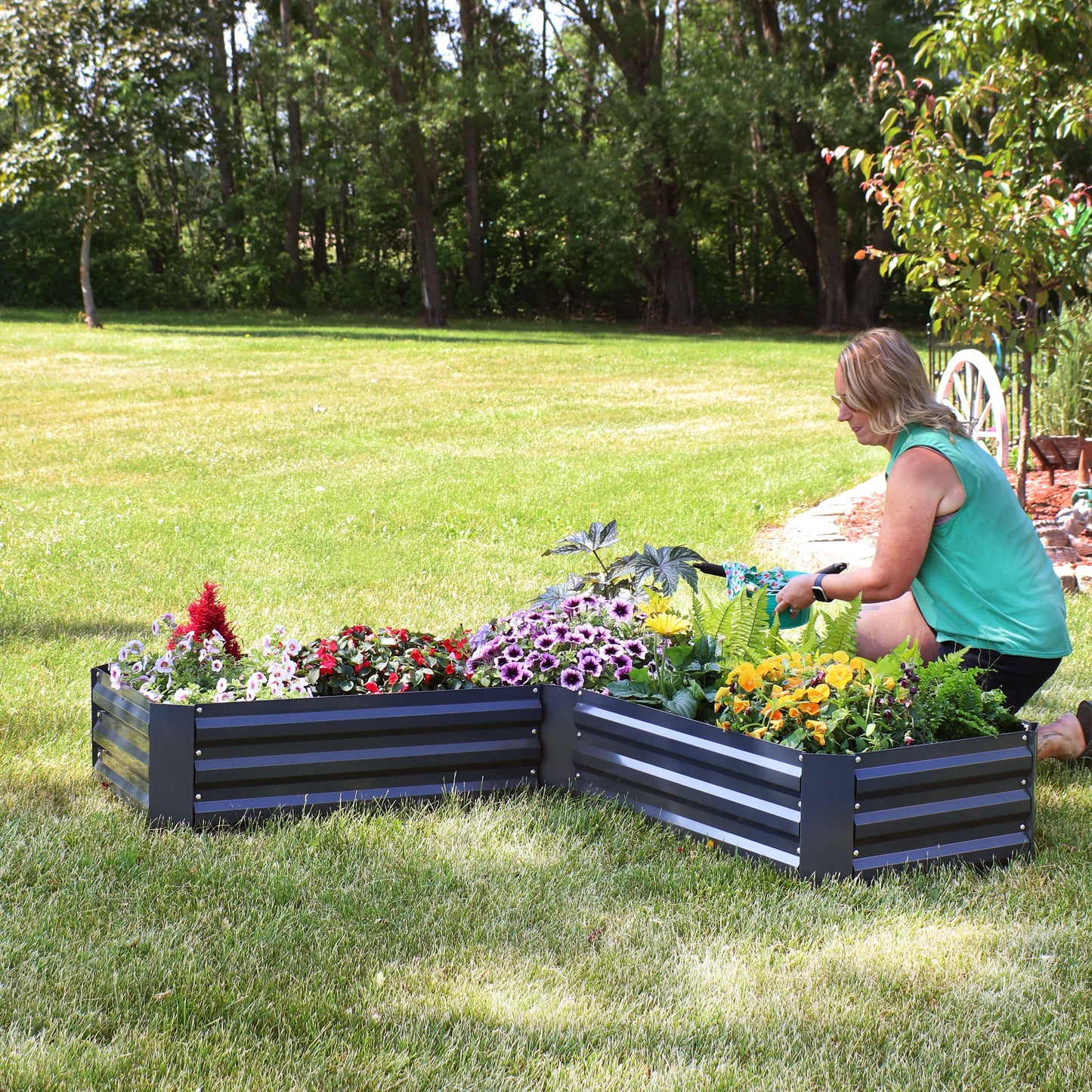 Raised Galvanized Steel Garden Bed for Healthy Plants